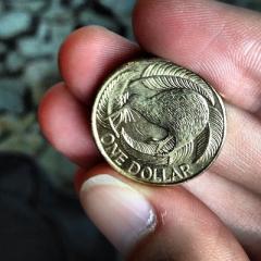 NZ dollar falls | The National Business Review